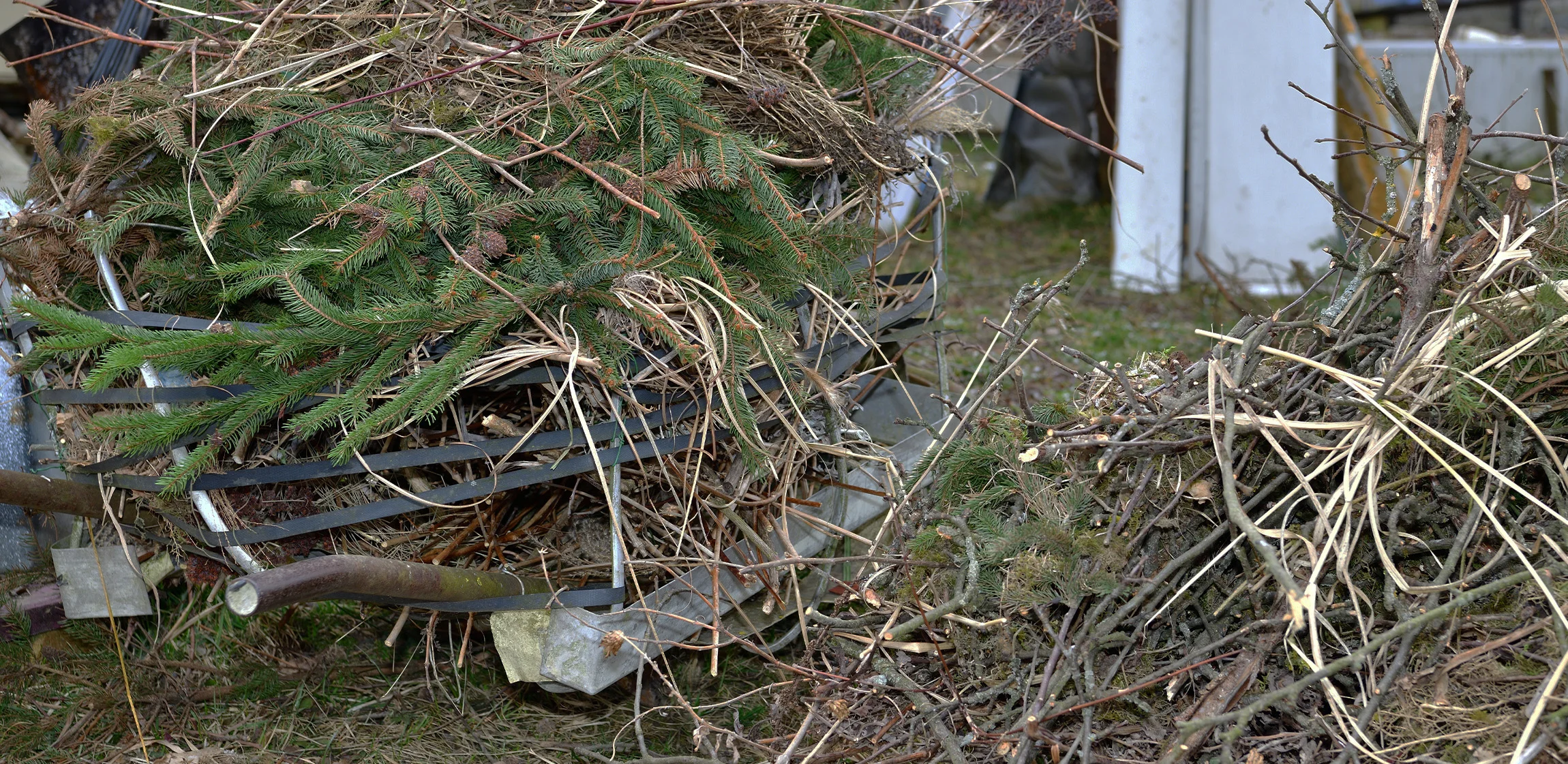 find-yard-waste-removal-companies-near-you-hometown